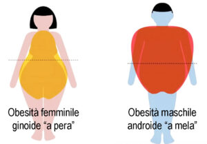 Obesità androide e ginoide